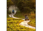 Book Your Dooars Tour with Jaldapara Elephant Safari with NatureWings Holidays Ltd