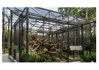 Professional Zoo Construction Services in Thailand