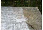 Commercial Roof Cleaning