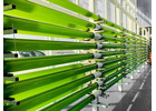 Algae Biorefinery: Transforming Biomass into Industrial Value