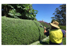 Semms Property Services: Thoughtful Landscape Design for Bowral Homes