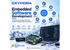 Embedded Development 