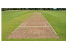 Cricket Turf Manufacturer | OSMS Turf