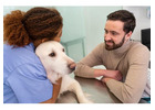 Trusted Veterinary Support at an Emergency Clinic for Dogs Near Me