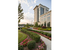 Upgrade Your Yard with Fresh Greenery and Garden Design