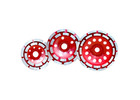 Diamond Cup Blade Double Row for Concrete Surface Grinding and Leveling | Yuri Group