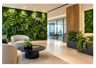 Professional Preserved Plant Solutions for Interiors in Dubai
