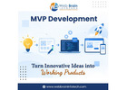 MVP Development – Turn Innovative Ideas into Working Products