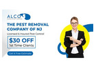 Free Pest Inspection in New Jersey | ALCO Animal & Pest Control