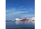 Cruise Ship Sexual Assault Lawyer for Victim Rights